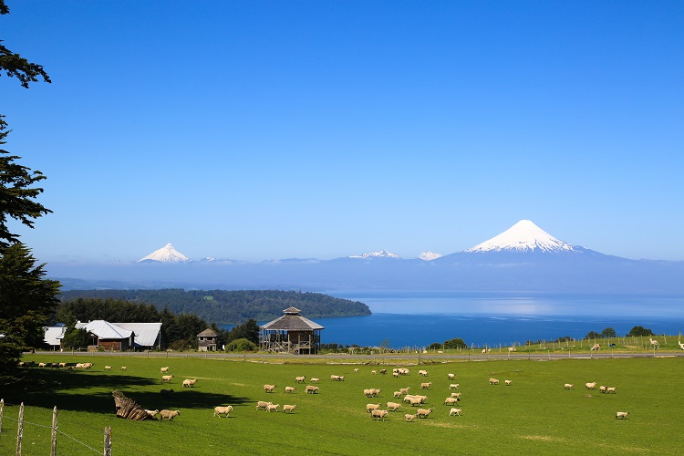 vista volcan Osorno
